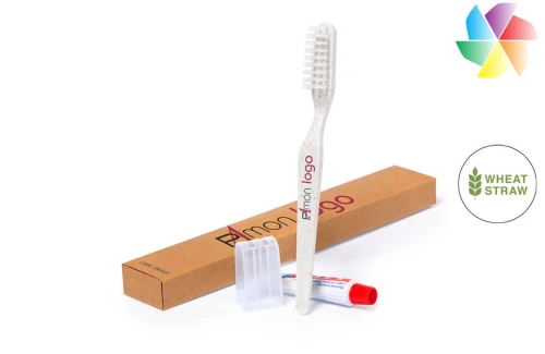 Set dentaire avec brosse à dents et dentifrice publicitaire personnalisé avec logo 